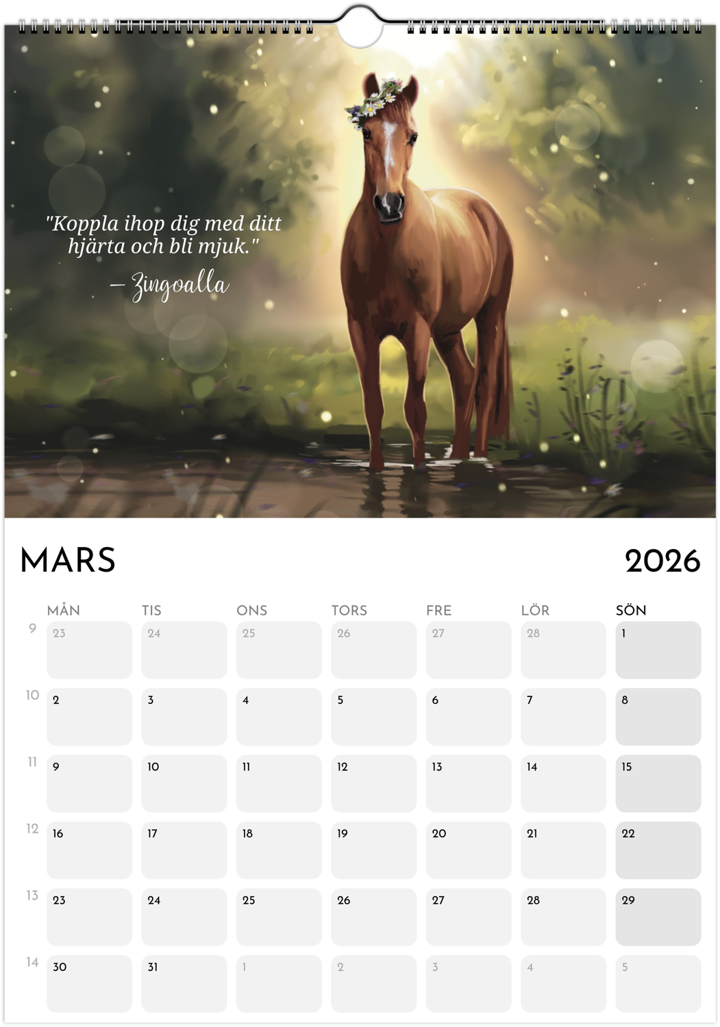 Kalender A4 Hästarnas Budskap