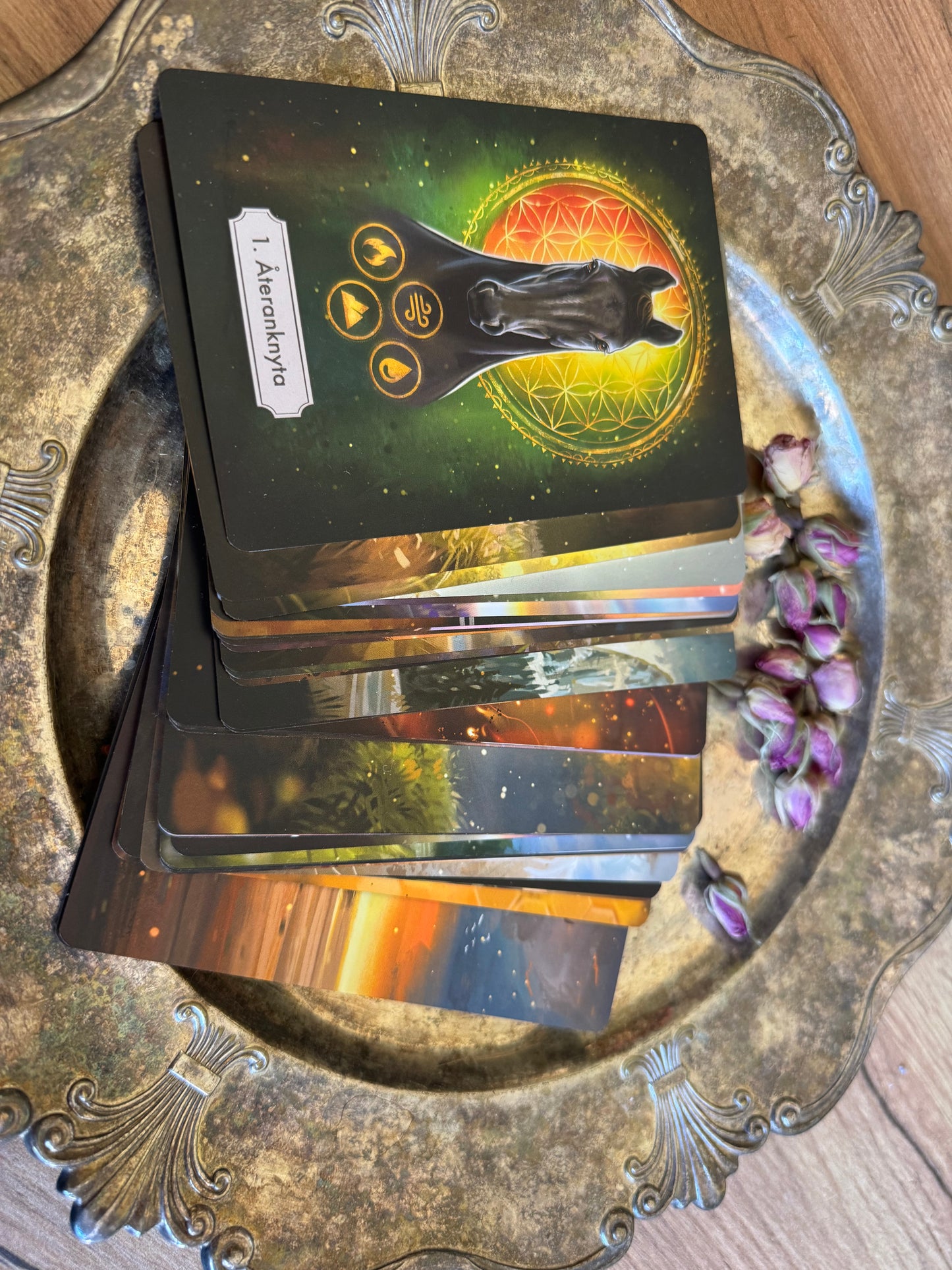 Hästarnas budskap - Orakel kortlek. Guld versionen! Svenska