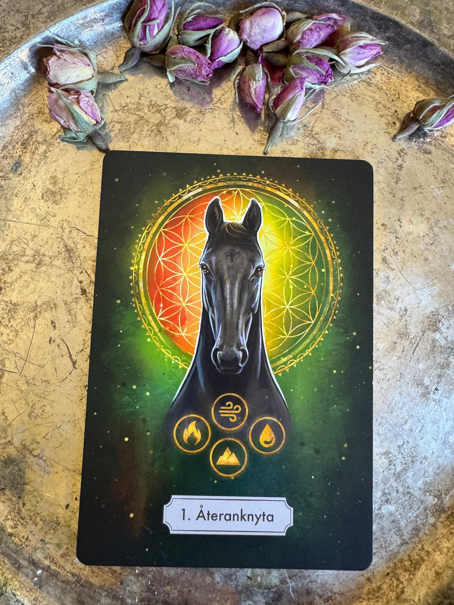 Hästarnas budskap - Orakel kortlek. Guld versionen! Svenska