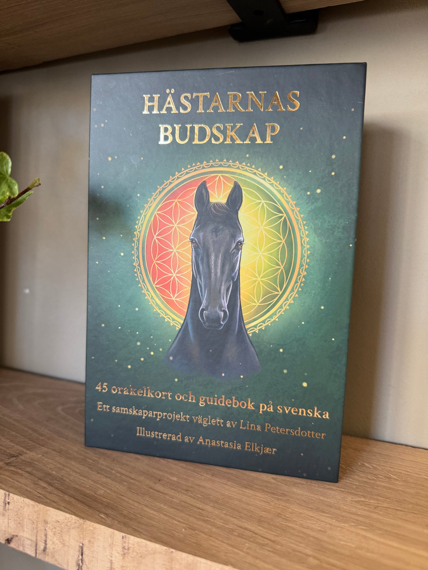 Hästarnas budskap - Orakel kortlek. Guld versionen! Svenska
