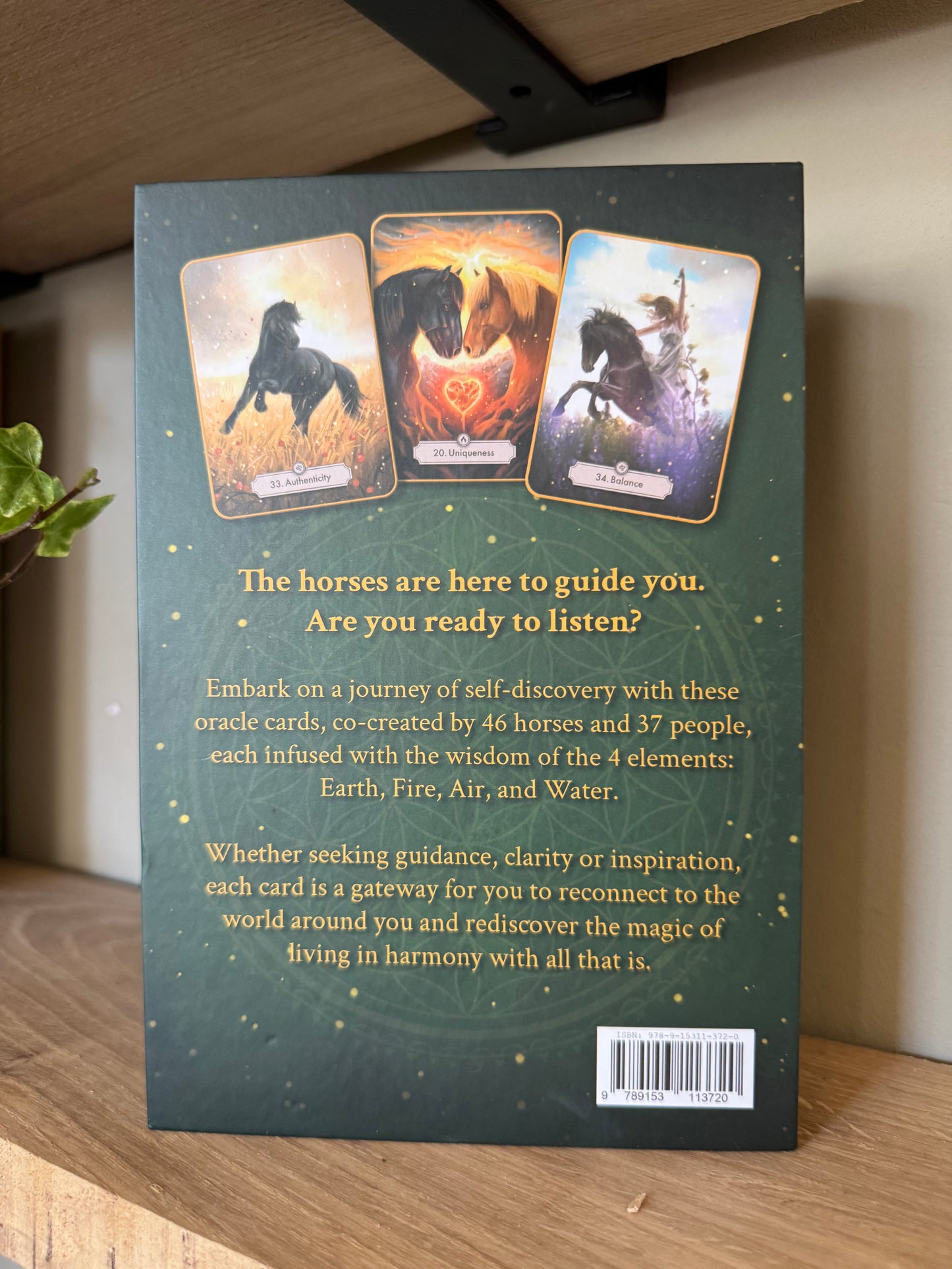 Messages from the horses - Oracle card deck, Gold edition! ENG