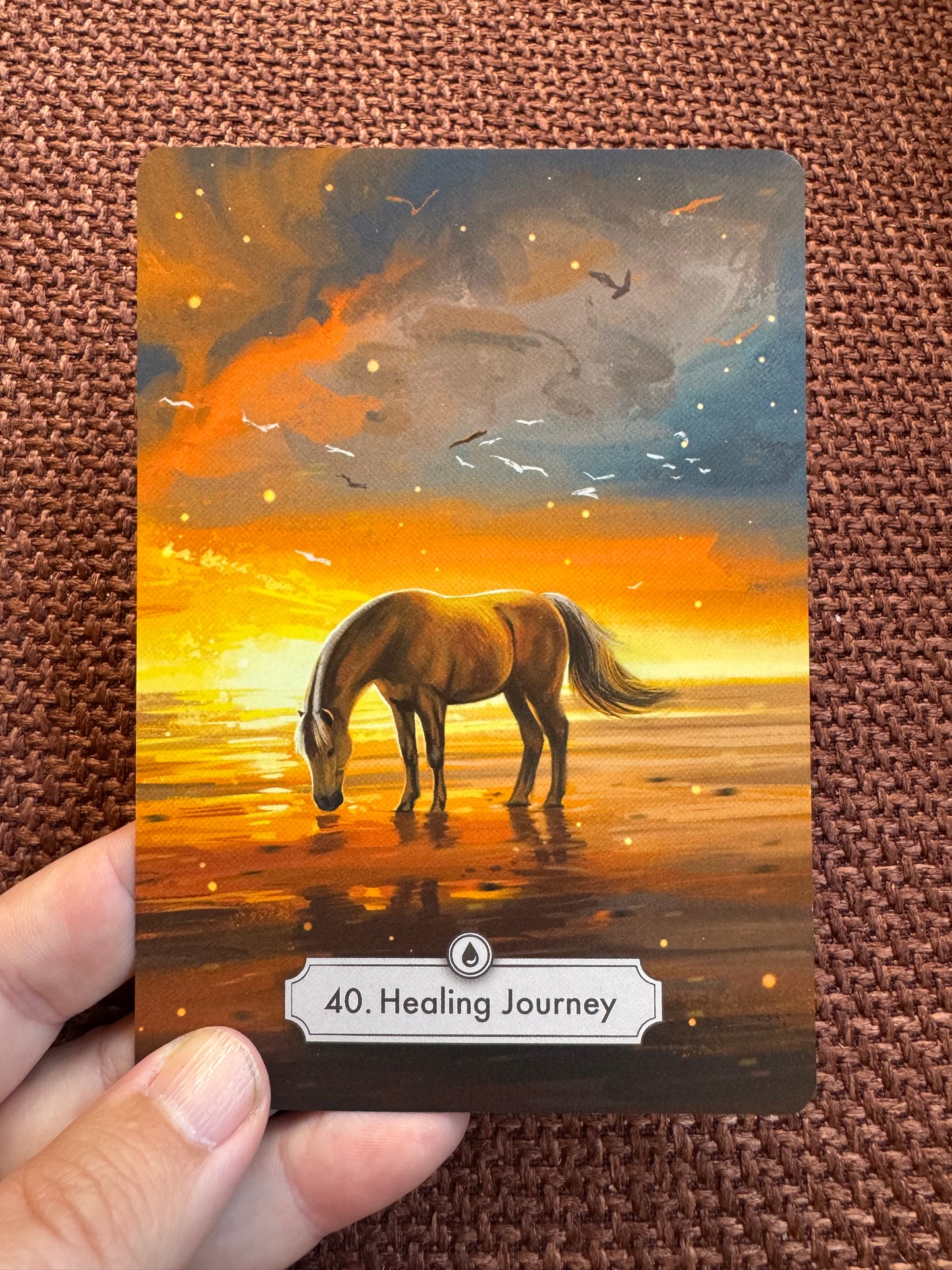 Messages from the horses - Oracle card deck, Gold edition! ENG